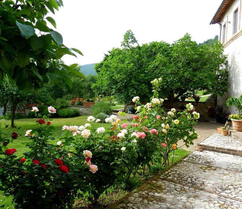 All Stone Horse Stable Converted To Elegant Apartment - Baltimora Spoleto Exterior photo